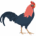 đá gà
